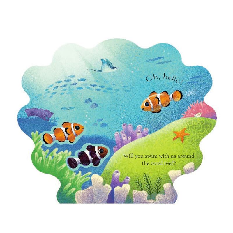 Hello Clownfish Board Book