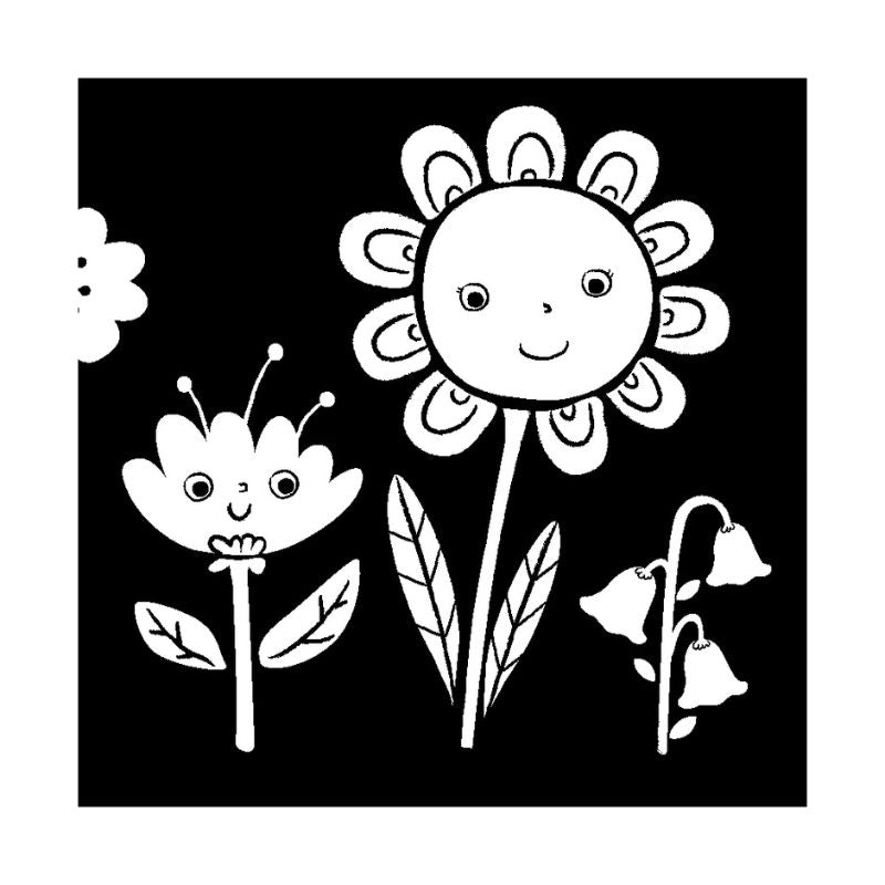 Hello, My World High-Contrast Books