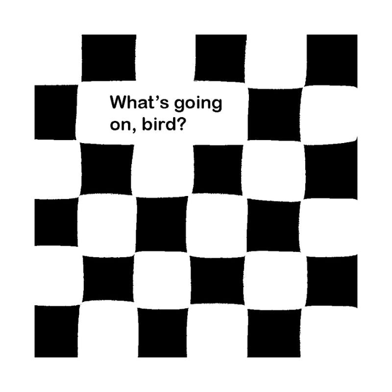 Hello, My World High-Contrast Books