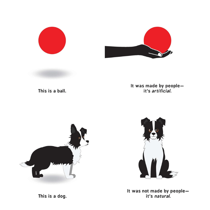 Artificial Intelligence for Babies