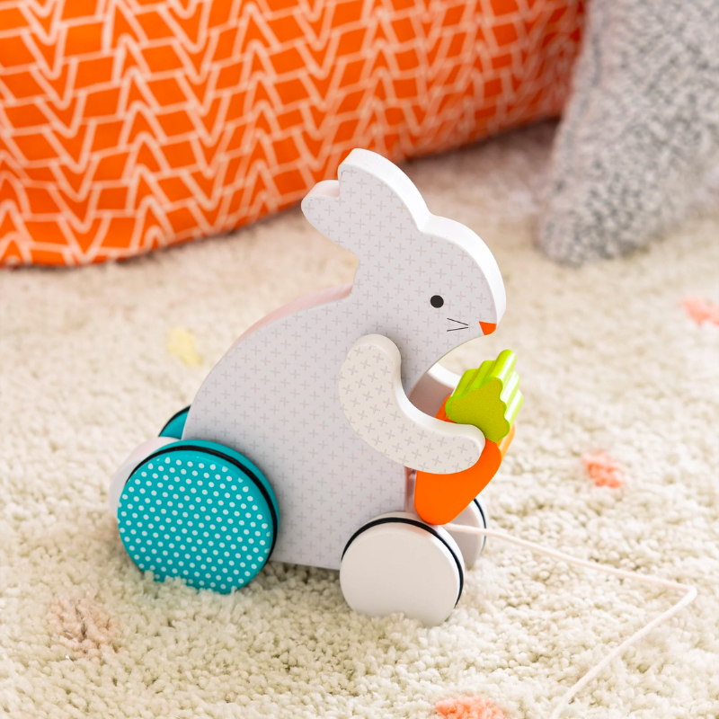 Busy Bunny Pull Toy