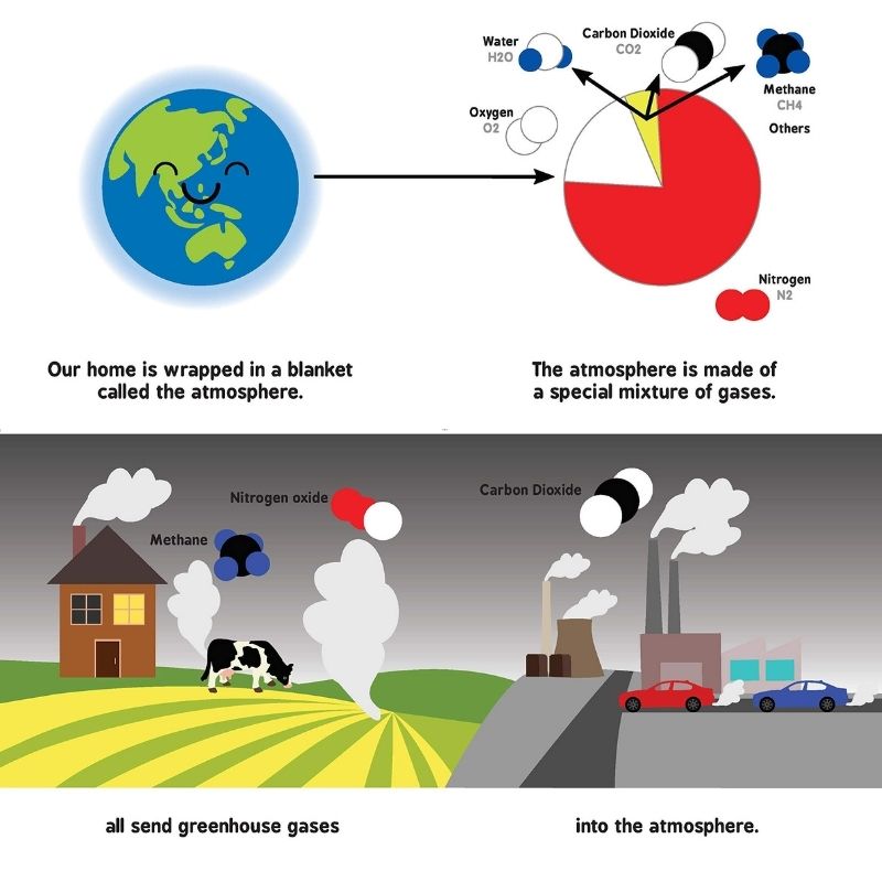 Baby University Books Climate Change For Babies