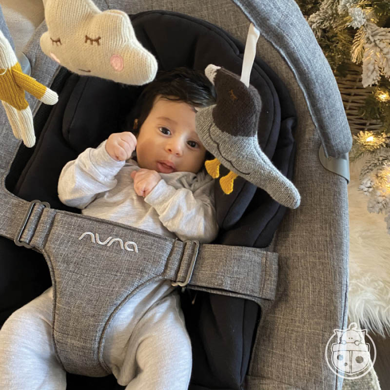 LEAF Grow Swing with Toy Bar