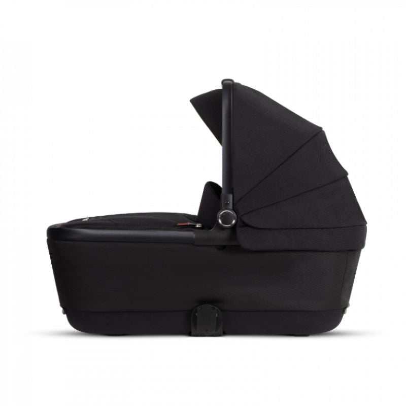 Reef Bassinet