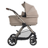 Reef Bassinet