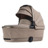 Reef Bassinet