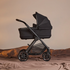 Reef Bassinet