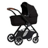 Reef Bassinet
