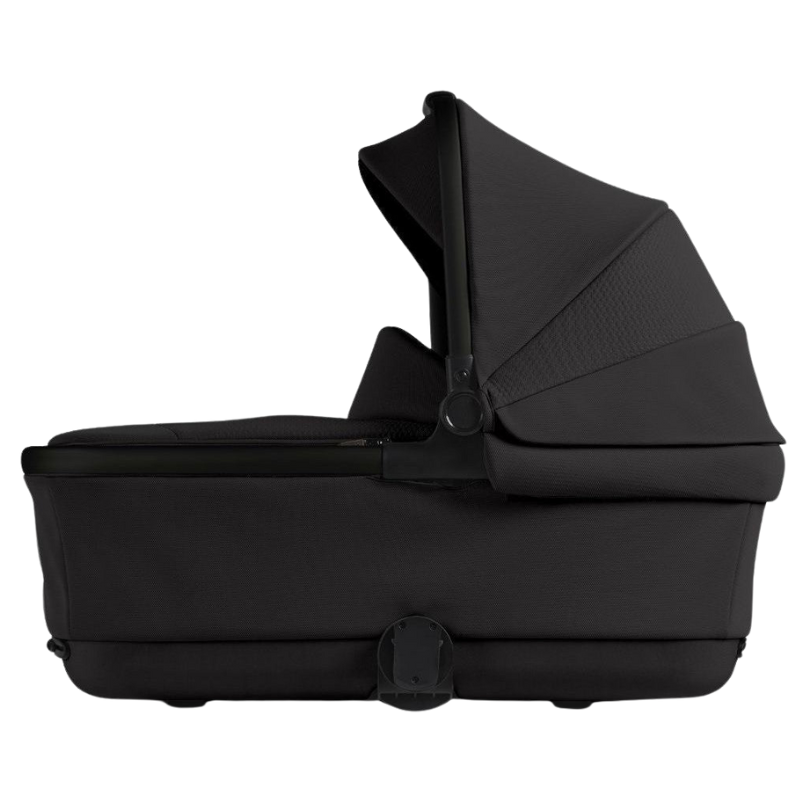Reef Bassinet