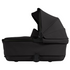 Reef Bassinet