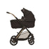 Reef 2 Stroller