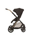 Reef 2 Stroller