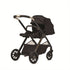 Reef 2 Stroller