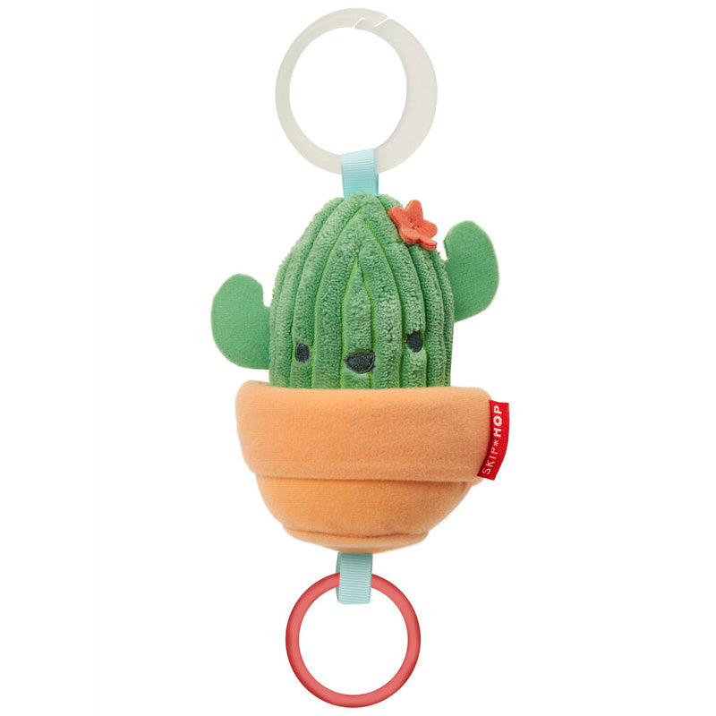 Farmstand Jitter Cactus