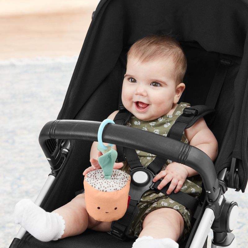 Garden Oasis Stroller Toy