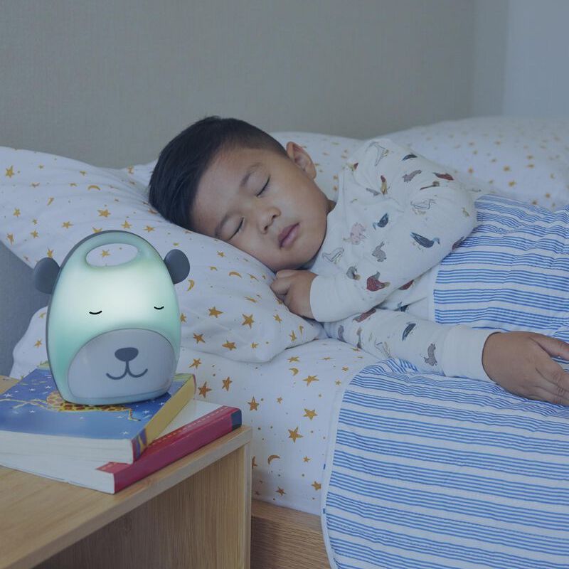 Beary Cute Take-Along Nightlight