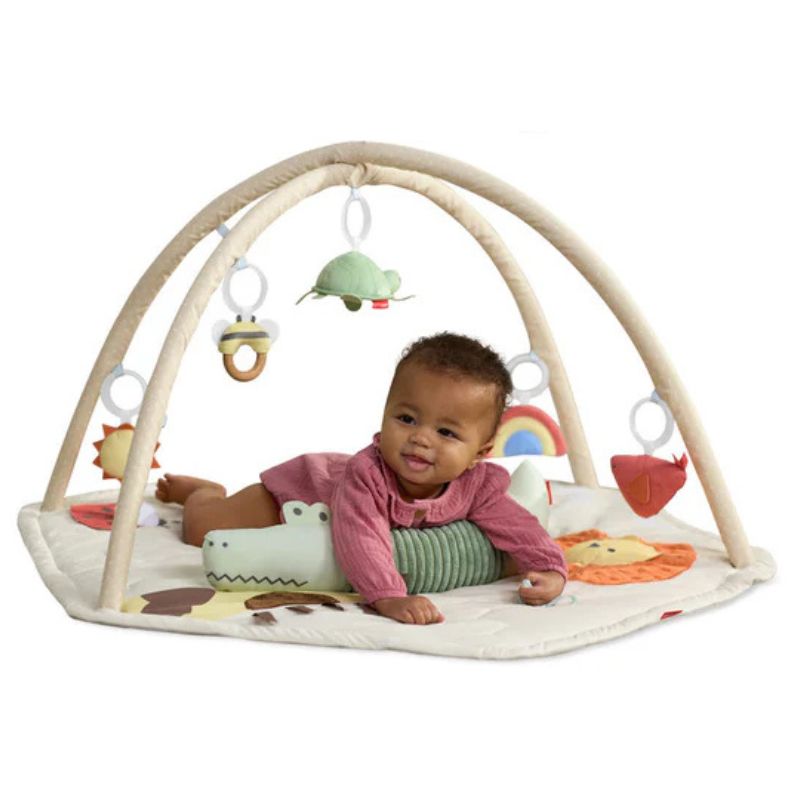 Geometric Wonders Activity Gym | Snuggle Bugz | Canada's Baby Store