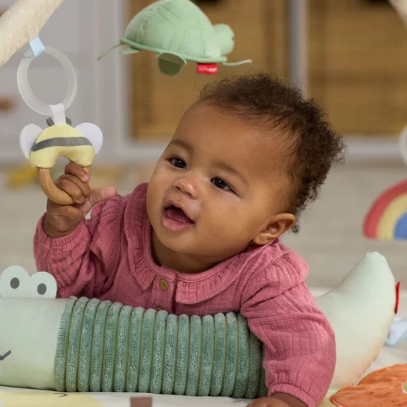 Geometric Wonders Activity Gym