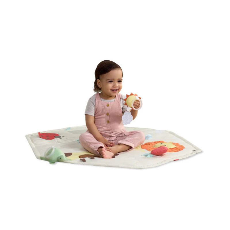 Geometric Wonders Activity Gym