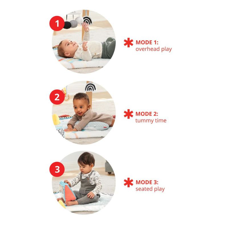 Discoverosity Montessori Activity Gym