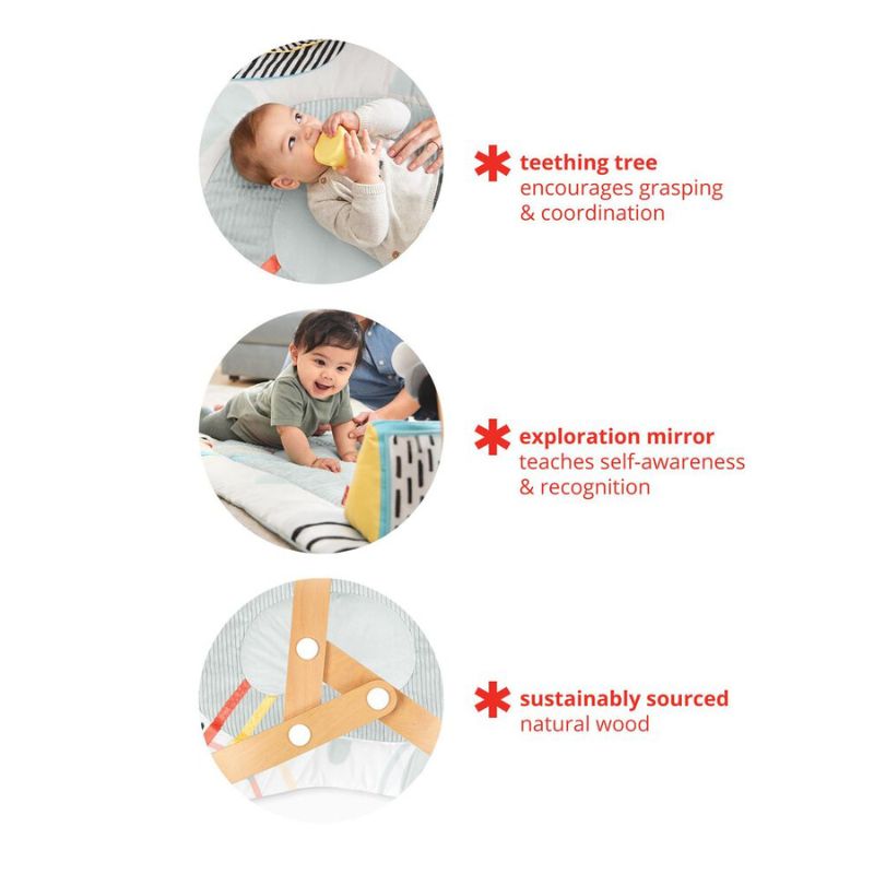 Discoverosity Montessori Activity Gym