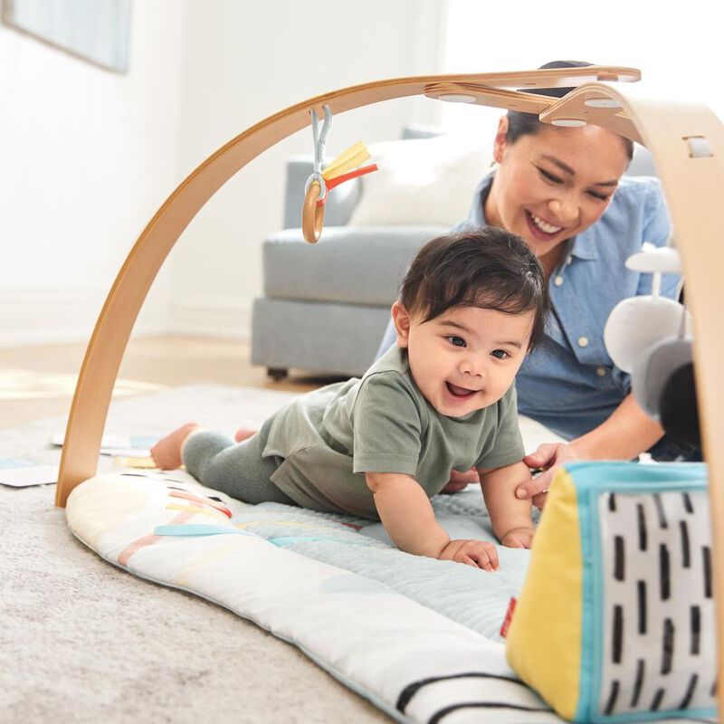 Discoverosity Montessori Activity Gym