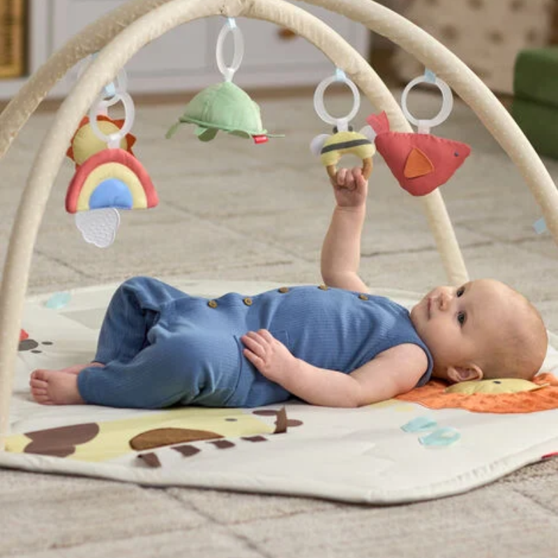 Geometric Wonders Play Gym