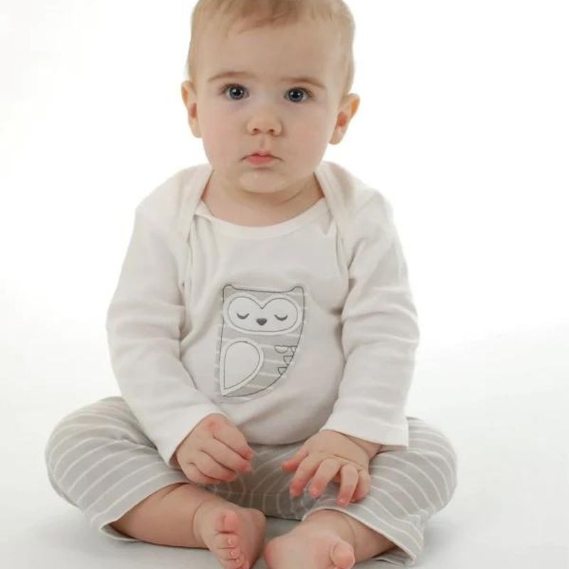 Long Sleeve Onesie Snowy Owl