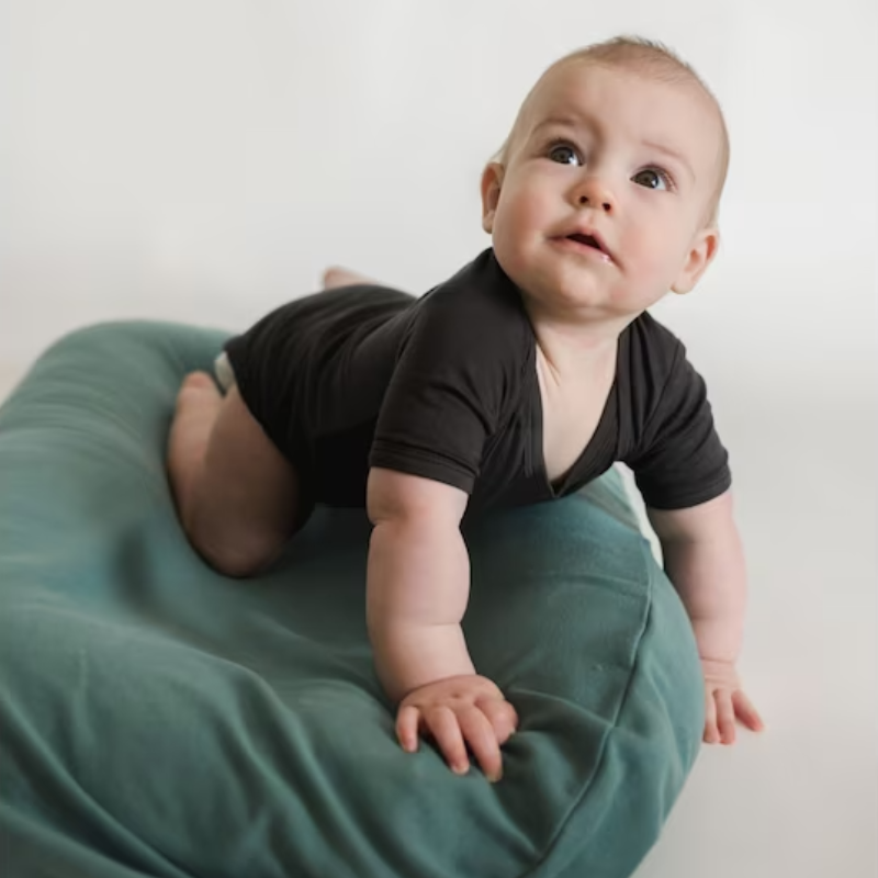 Infant Lounger Covers - Cotton