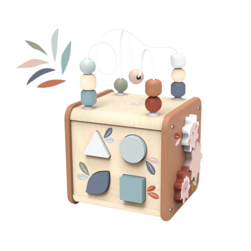 Activity Cube 5 in 1