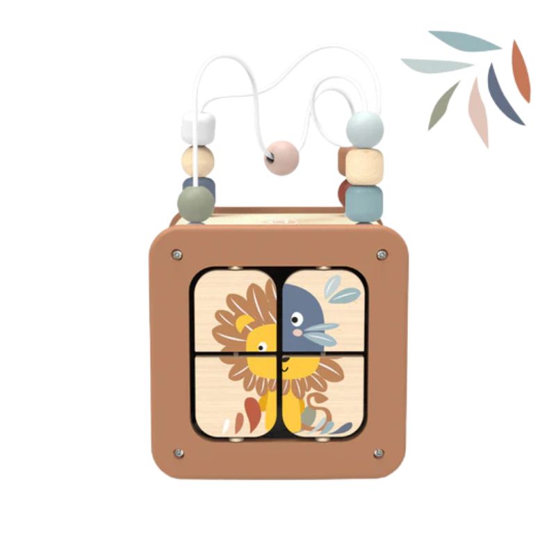 Activity Cube 5 in 1