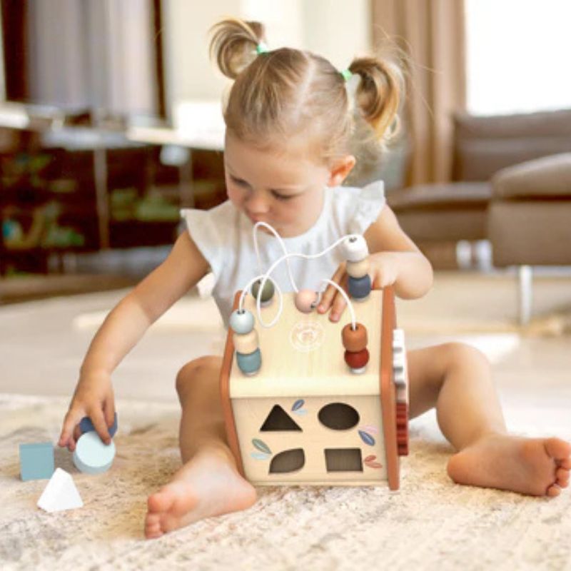 Activity Cube 5 in 1