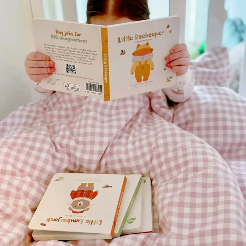 A Little Life Series Books