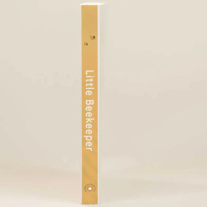 A Little Life Series Books