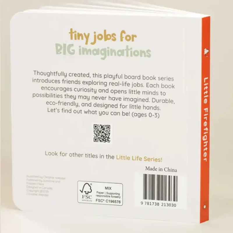 A Little Life Series Books