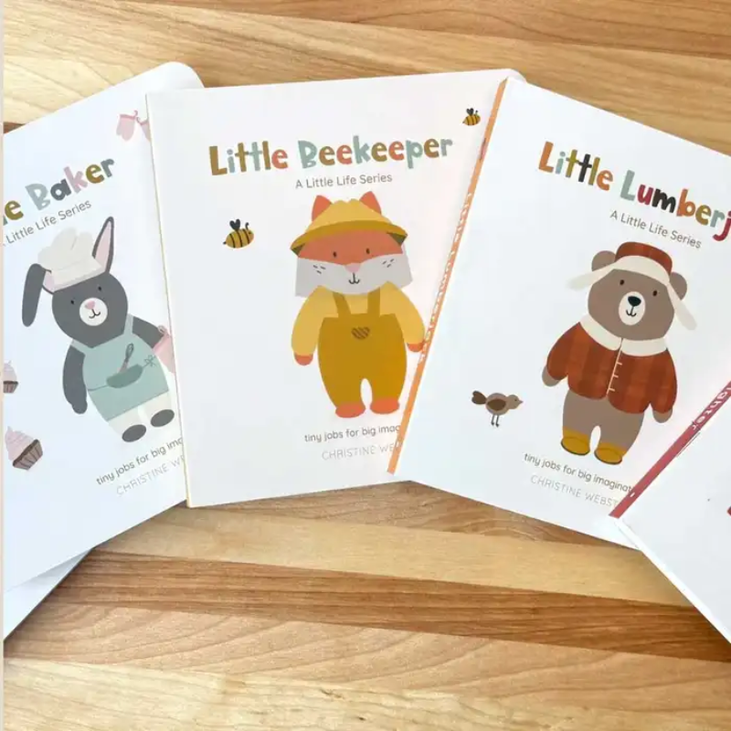 A Little Life Series Books