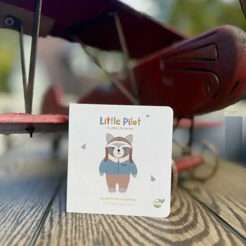 A Little Life Series Books