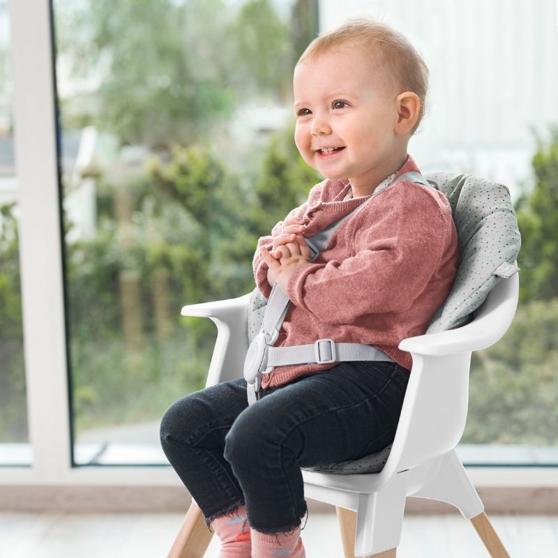 Clikk Complete with Cushion & Travel Bag