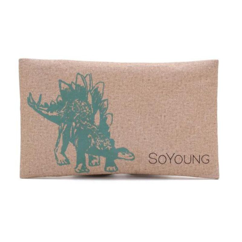 Ice Pack