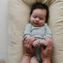 Organic Lounger + Cover Set