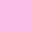 Pink Sachet Orchid