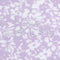 Aster Flowers Purple