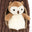 Forest Fauna Owl