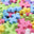 Pastel