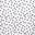 Dalmation
