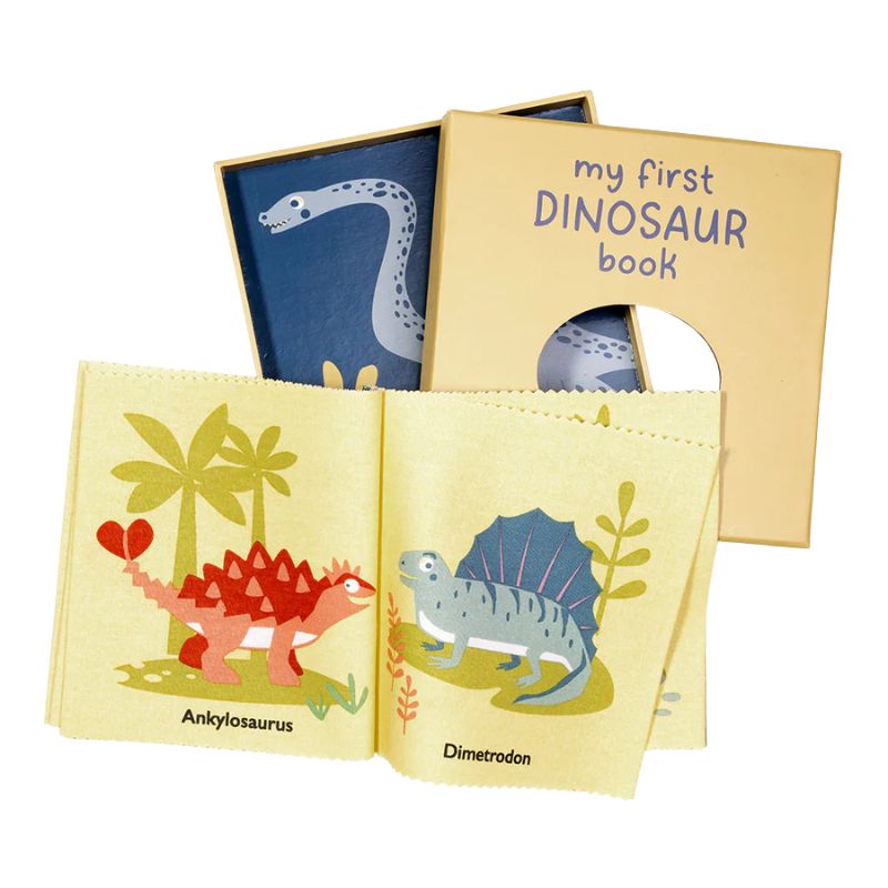 My First Dinosaur Book Rag Book