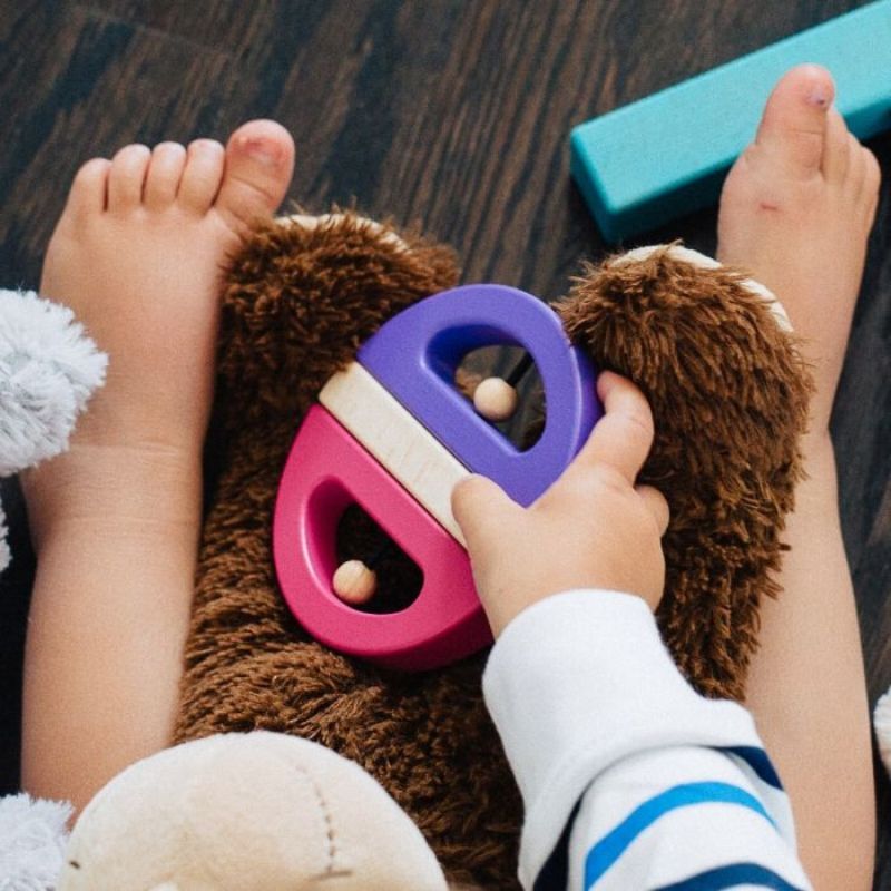 Swivel Bug Twist & Pull Toy