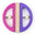Pink / Purple