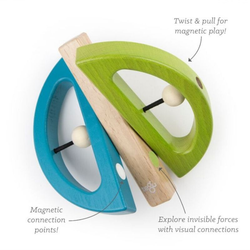 Swivel Bug Twist & Pull Toy