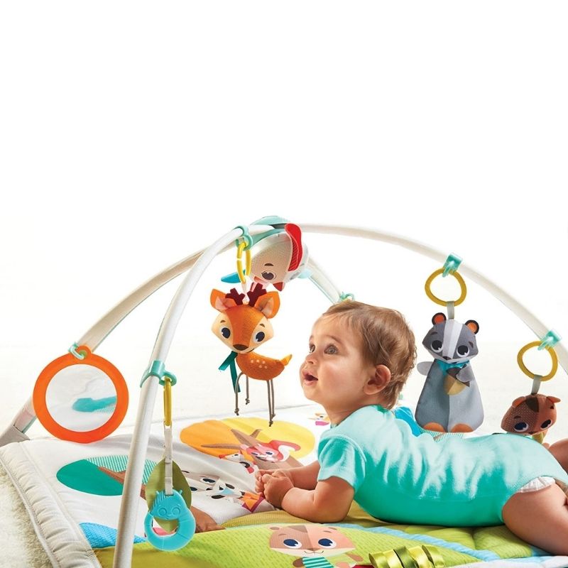 Deluxe Gymini Activity Mat Into The Forest 